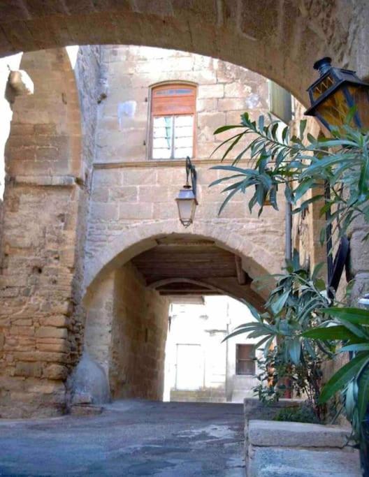 Chez Lydia - Osez La Vie De Chateau ! Pont Du Gard, Uzes 레물링 외부 사진